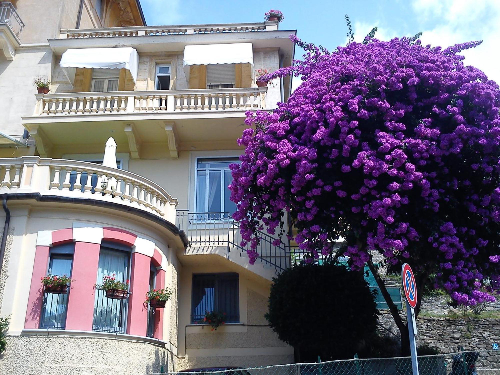 Hotel Canali, Portofino Coast ラッパロ エクステリア 写真