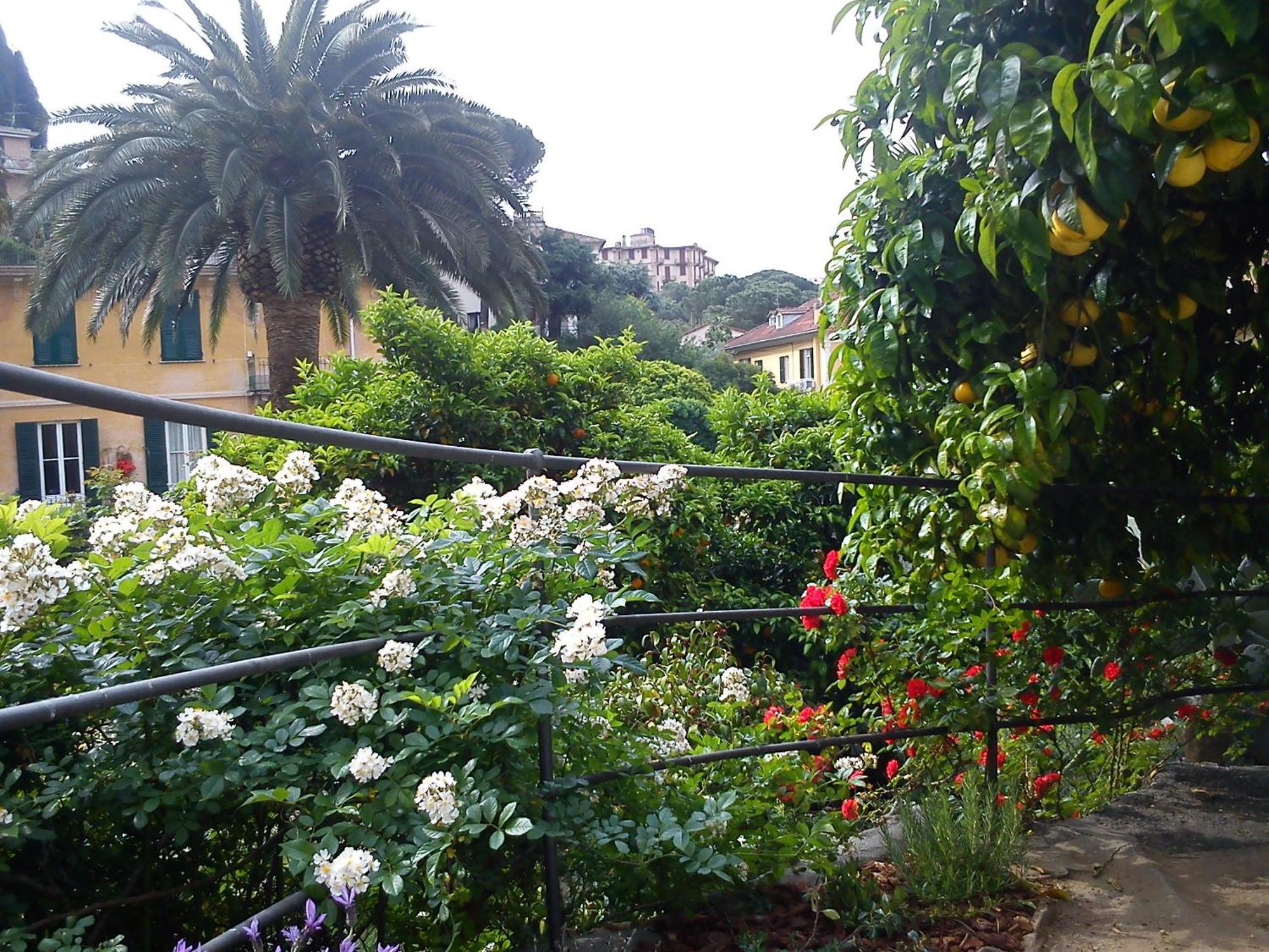 Hotel Canali, Portofino Coast ラッパロ エクステリア 写真